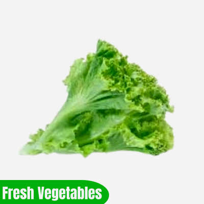 Fresh Salad Patta (Lettuce) 1 Bunch