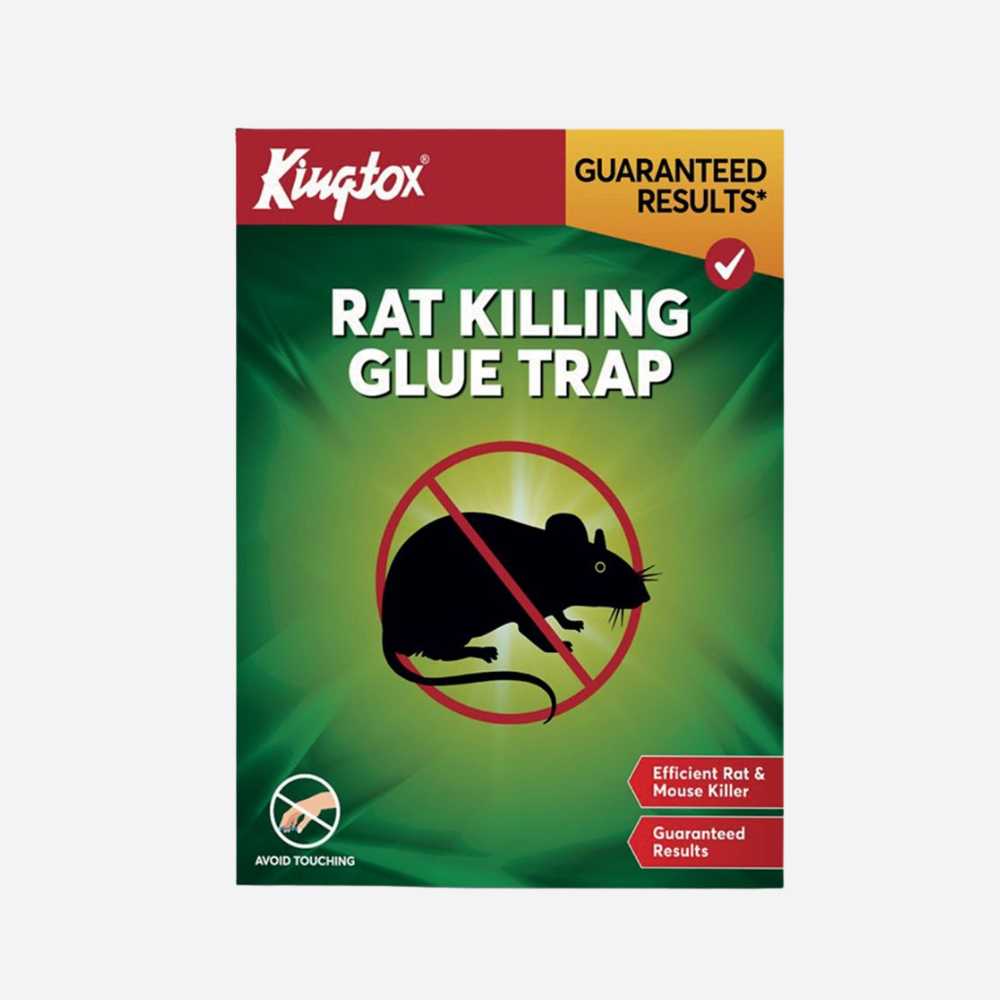 Kingtox Rat Killing Glue Trap